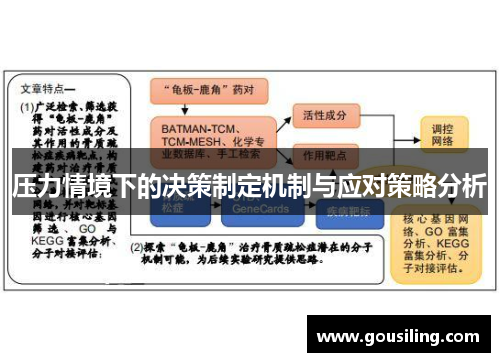 压力情境下的决策制定机制与应对策略分析