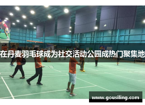 在丹麦羽毛球成为社交活动公园成热门聚集地