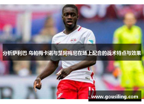 分析萨利巴 乌帕梅卡诺与楚阿梅尼在场上配合的战术特点与效果
