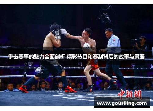 拳击赛事的魅力全面剖析 精彩节目和赛制背后的故事与策略