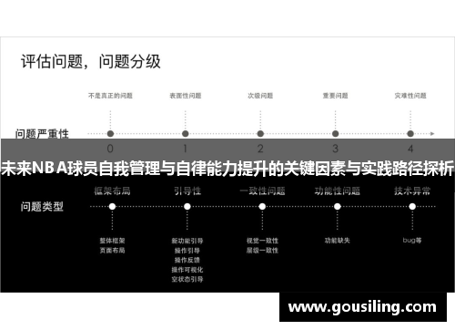 未来NBA球员自我管理与自律能力提升的关键因素与实践路径探析