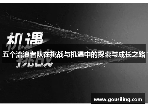 五个流浪者队在挑战与机遇中的探索与成长之路