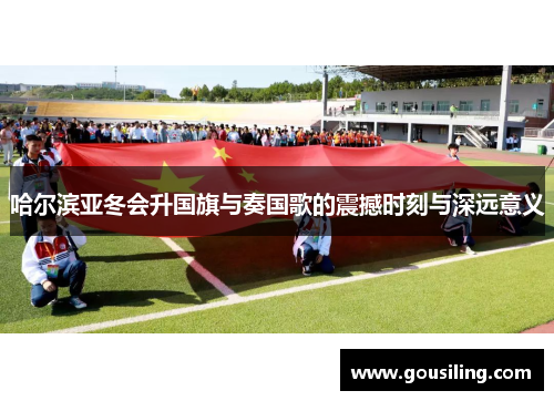 哈尔滨亚冬会升国旗与奏国歌的震撼时刻与深远意义