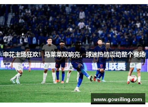 申花主场狂欢！马莱莱双响亮，球迷热情震动整个赛场