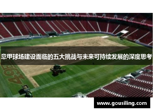 意甲球场建设面临的五大挑战与未来可持续发展的深度思考