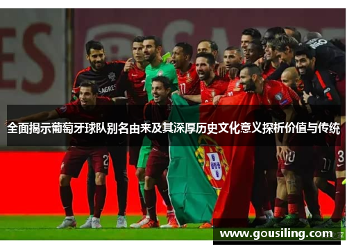 全面揭示葡萄牙球队别名由来及其深厚历史文化意义探析价值与传统