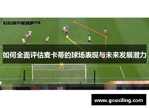 如何全面评估麦卡蒂的球场表现与未来发展潜力